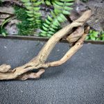 Коралловое дерево/Coral Wood КД753 — изображение 5