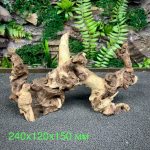 Коралловое дерево/Coral Wood КД754 — изображение 2