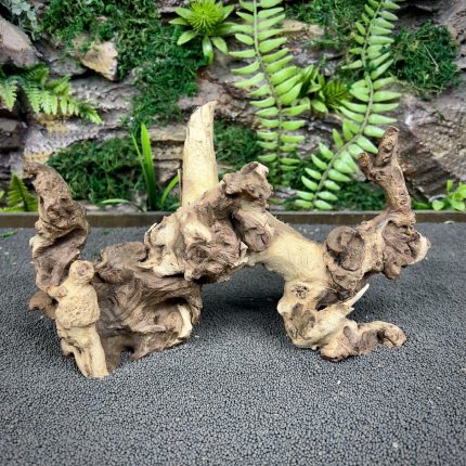 Коралловое дерево / Coral Wood