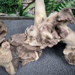 Коралловое дерево/Coral Wood КД754 — изображение 4