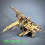 Коряга Дуба ДБ755 — изображение 2