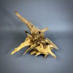 Коряга Дуба ДБ755 — изображение 3