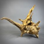 Коряга Дуба ДБ755 — изображение 5