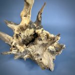 Коряга Дуба ДБ755 — изображение 6