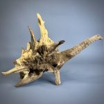 Коряга Дуба ДБ755 — изображение 7