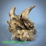 Коряга Дуба ДБ756 — изображение 2