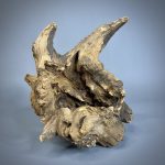 Коряга Дуба