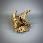 Коряга Дуба ДБ756 — изображение 3