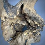 Коряга Дуба ДБ756 — изображение 4