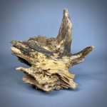 Коряга Дуба ДБ756 — изображение 5