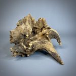 Коряга Дуба ДБ756 — изображение 6