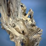 Коряга Дуба ДБ757 — изображение 4