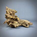 Коряга Дуба ДБ757 — изображение 5