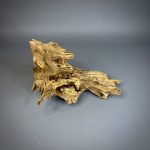 Коряга Дуба ДБ757 — изображение 6