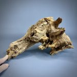 Коряга Дуба ДБ757 — изображение 7