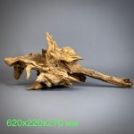 Коряга Дуба ДБ758 — изображение 2