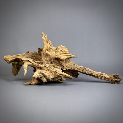 Коряга Дуба