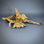 Коряга Дуба ДБ758 — изображение 3