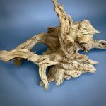 Коряга Дуба ДБ758 — изображение 4