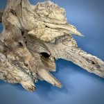 Коряга Дуба ДБ758 — изображение 5