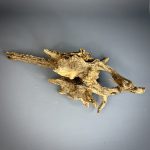 Коряга Дуба ДБ758 — изображение 7