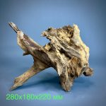 Коряга Дуба ДБ759 — изображение 2