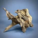 Коряга Дуба