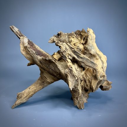 Коряга Дуба