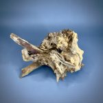 Коряга Дуба ДБ759 — изображение 3