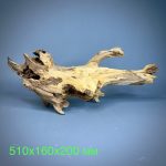 Коряга Дуба ДБ760 — изображение 2