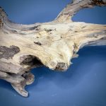 Коряга Дуба ДБ760 — изображение 5