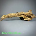 Коряга Дуба ДБ761 — изображение 2