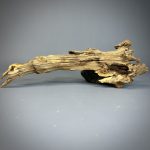 Коряга Дуба