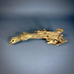 Коряга Дуба ДБ761 — изображение 3