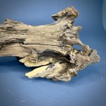 Коряга Дуба ДБ761 — изображение 4