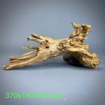 Коряга Дуба ДБ762 — изображение 2