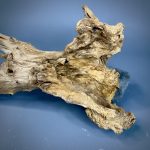 Коряга Дуба ДБ762 — изображение 5