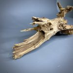 Коряга Дуба ДБ762 — изображение 6