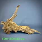 Коряга Дуба ДБ763 — изображение 2