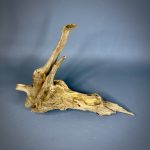 Коряга Дуба ДБ763 — изображение 3