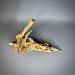 Коряга Дуба ДБ763 — изображение 4