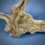 Коряга Дуба ДБ763 — изображение 5