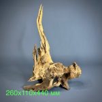 Коряга Дуба ДБ764 — изображение 2