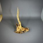 Коряга Дуба ДБ764 — изображение 3