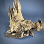 Коряга Дуба ДБ764 — изображение 4