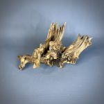 Коряга Дуба ДБ765 — изображение 3