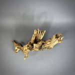 Коряга Дуба ДБ765 — изображение 4