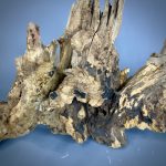 Коряга Дуба ДБ765 — изображение 5