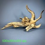 Коряга Дуба ДБ767 — изображение 2