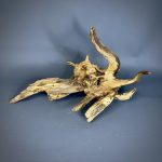 Коряга Дуба ДБ767 — изображение 3